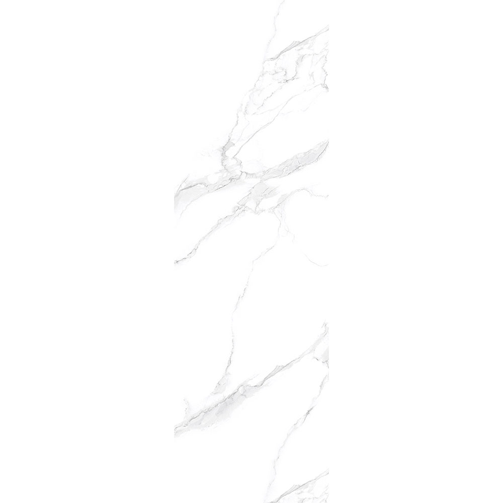 9Y826102A皇家鱼肚白